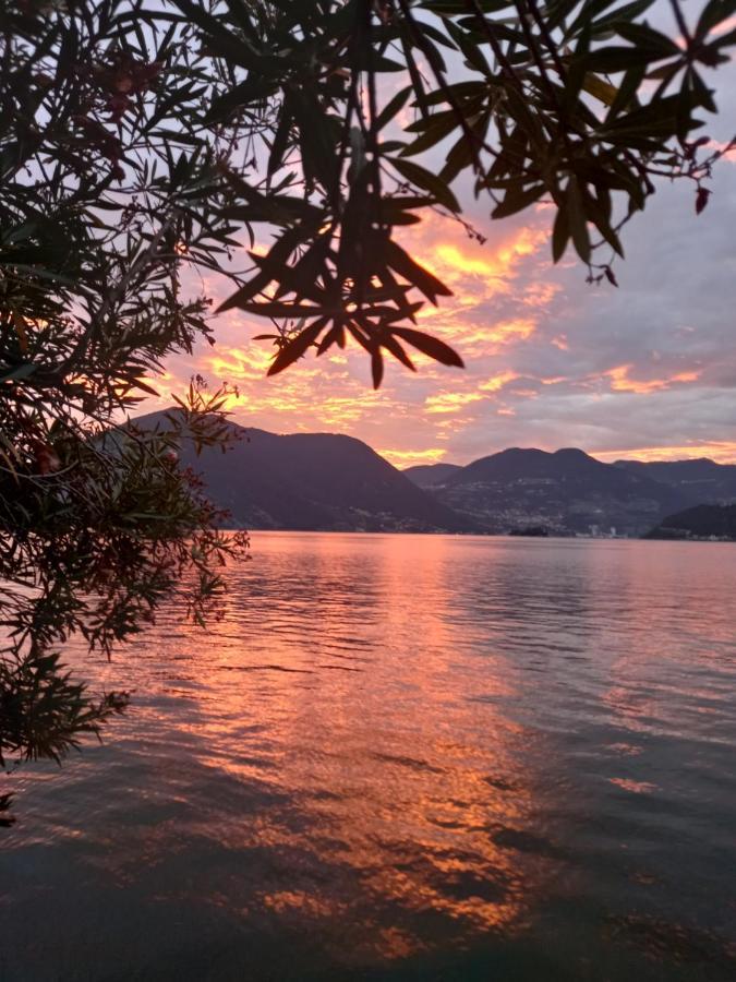 L'Oleandro Sul Lago D'Iseo B&B Sulzano Exterior foto