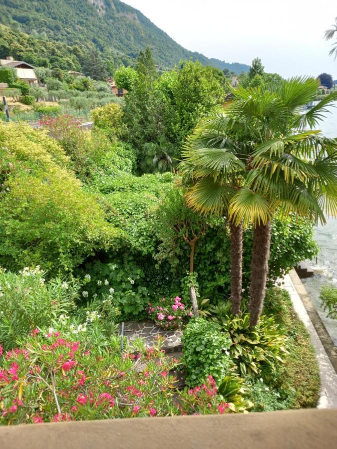 L'Oleandro Sul Lago D'Iseo B&B Sulzano Exterior foto